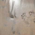 【外牆清洗】大樓外牆清洗維持建築亮麗又安全，看起來就舒服